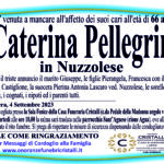 Caterina Pellegrino in Nuzzolese    di Anni 66
